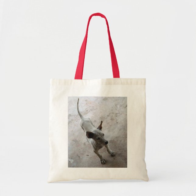 Luk Maa ... Thai Soi Puppy Dog Tote Bag (Front)