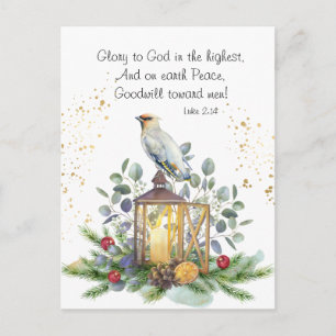 Luke 2:14 Glory to God in the Highest Christmas Postcard