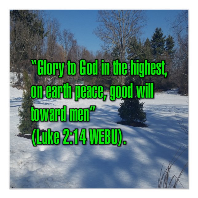 Luke 2:14 WEBU Poster (Front)