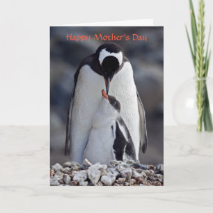 Lullaby Mother's Day Card