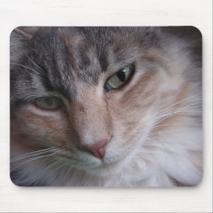 Lulu close-up mouse pad