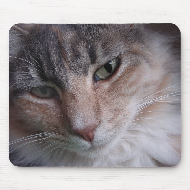 Lulu close-up mouse pad (Front)