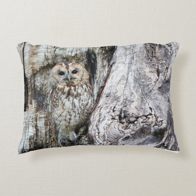Lumbar Pillow 13" x 21" (Front)