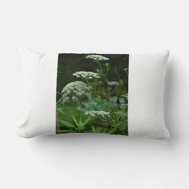 lumbar pillow template (Front)