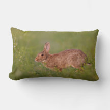 Lumbar pillow with rabbit on meadow