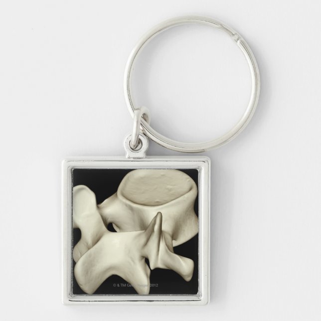 Lumbar Vertebra 4 Keychain (Front)