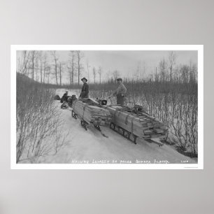 Lumber Dog Seward, Alaska 1917 Poster