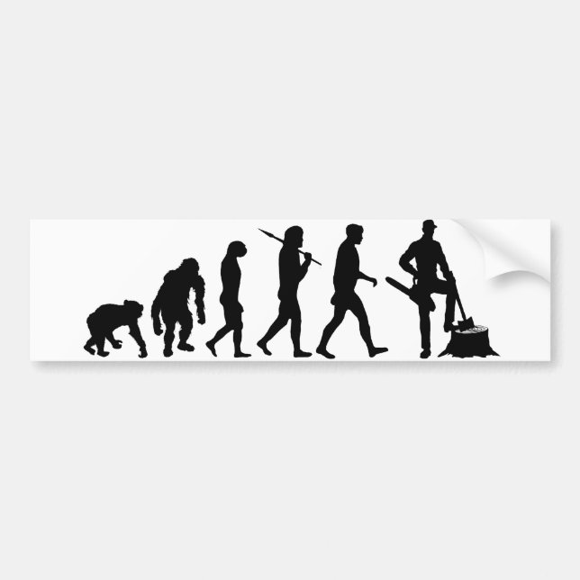 Lumberjack tree feller loggers bunyan evolution bumper sticker (Front)