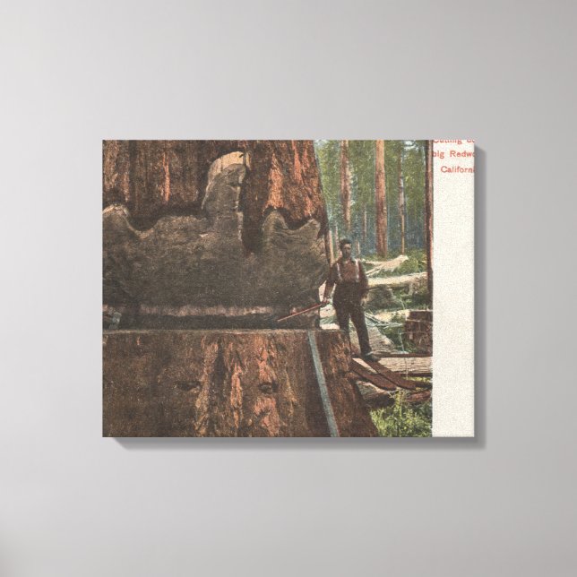 Lumberjacks Cutting Down a Redwood Tree Canvas Print (Front)