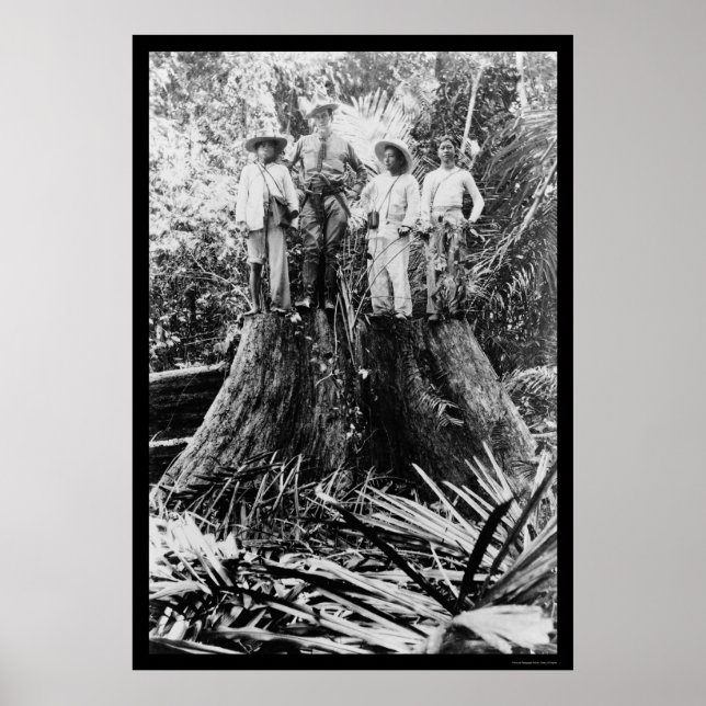 Lumberjacks in Mindoro Region, Philippines 1906 Poster (Front)