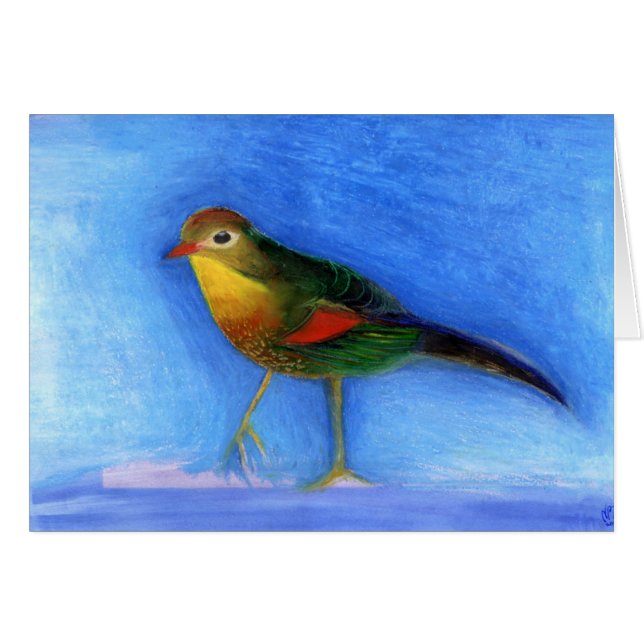 Lumière 2012 de rossignol (Devant horizontal)