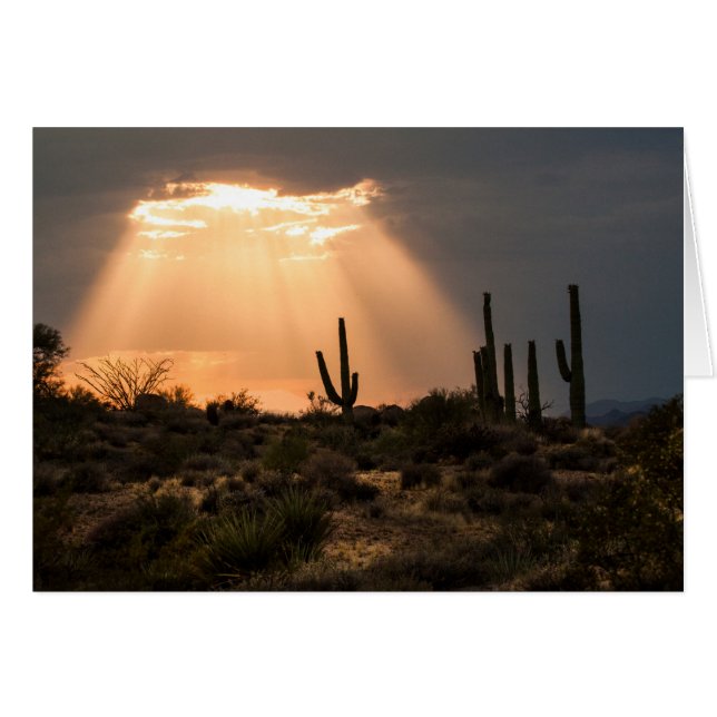 Lumière dans le désert (Devant horizontal)