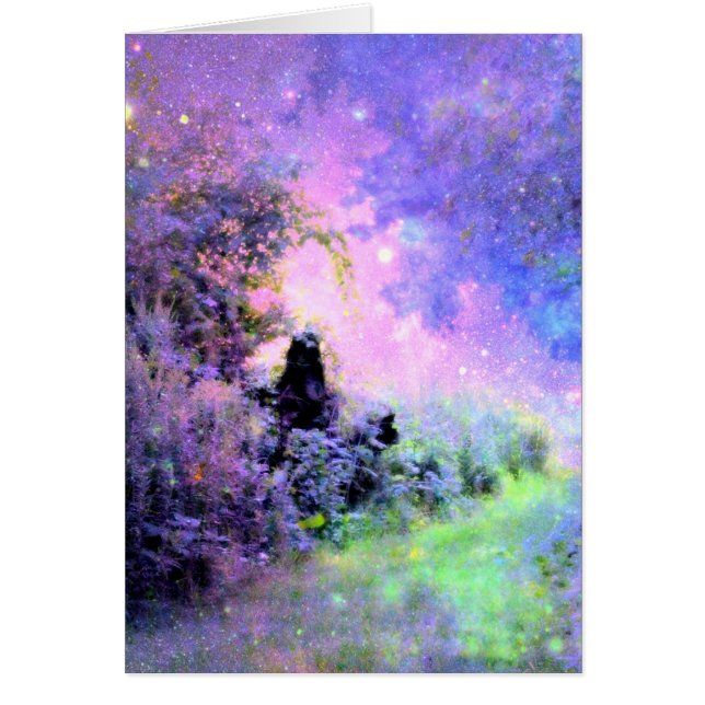 Lumière de jardin de rêve (Devant)