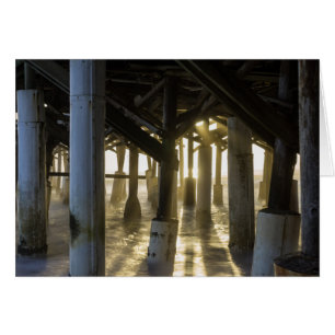 Lumière dorée à travers