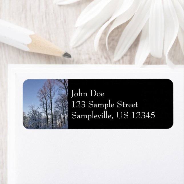 Lumière du matin d'hiver I (En situation)