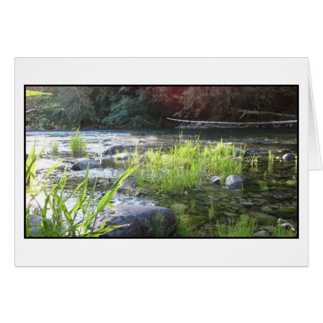 Lumière du matin sur la rivière Cowichan (Devant horizontal)