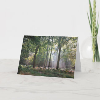 Lumière du soleil dans la carte de voeux en bois