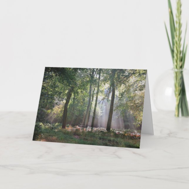 Lumière du soleil dans la carte de voeux en bois (Devant)