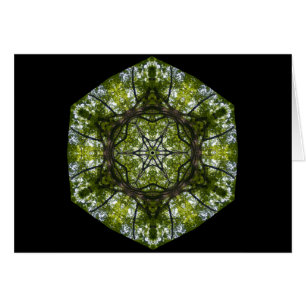 Lumière et motif dans le feuille