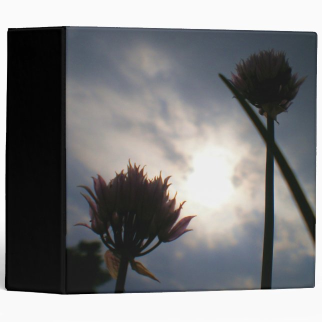 Lumière froide de classeur personnalisable de (Devant/Côté)