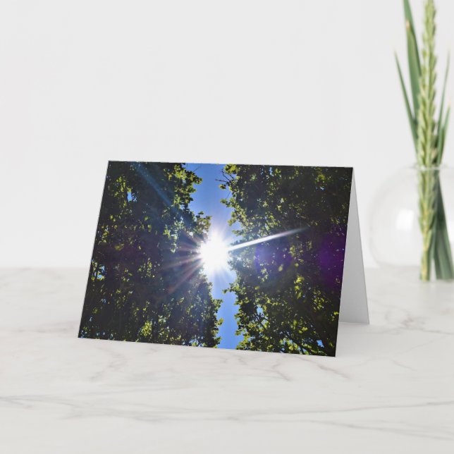 Lumière solaire à travers les arbres, carte (Devant)