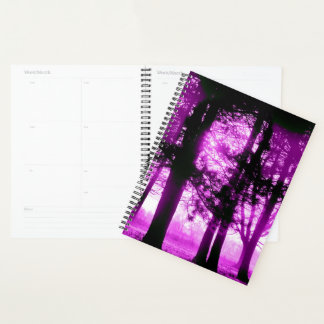 Lumière violette avec arbres en silhouette 