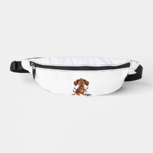 Lumières de Dachshund de Noël (2)
