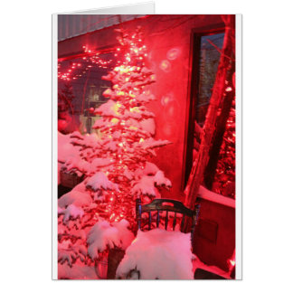 Lumières des arbres de Noël neigeux