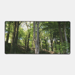 Luminaire de bois appliqué à la lumière du soleil