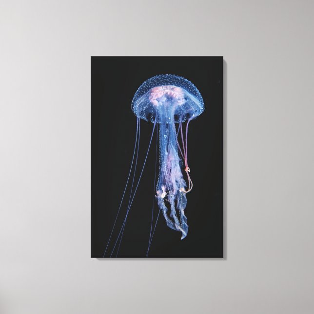 Luminescent Jellyfish Canvas Print (Front)