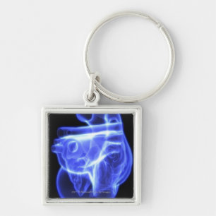 Luminescent view of the human heart keychain