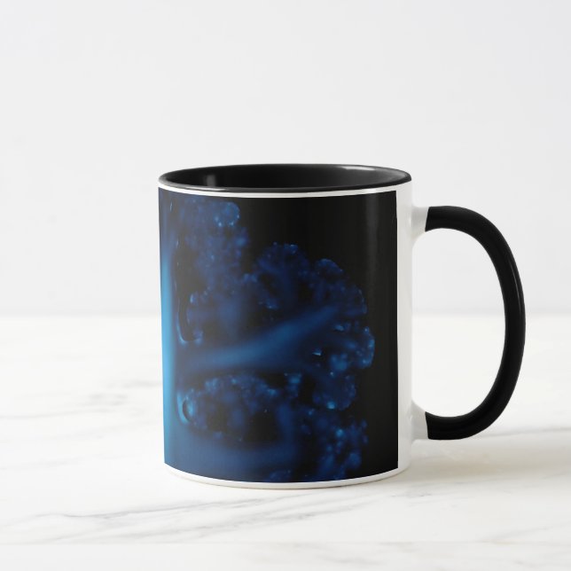 Luminol and the cauliflower structure mug (Right)