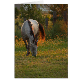 Luminosité chaude