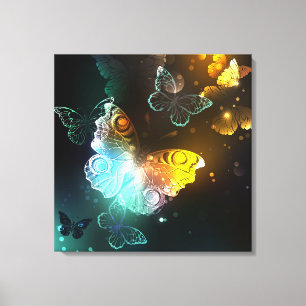 Luminous Butterfly and Night butterflies Canvas Print