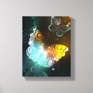 Luminous Butterfly and Night butterflies Canvas Print