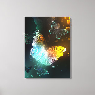 Luminous Butterfly and Night butterflies Canvas Print