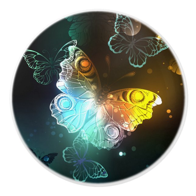 Luminous Butterfly and Night butterflies Ceramic Knob (Front)
