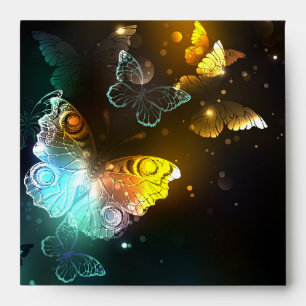 Luminous Butterfly and Night butterflies Envelope