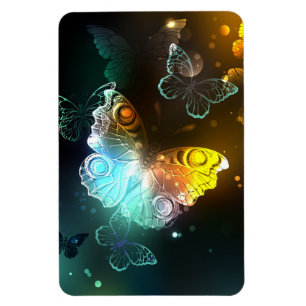 Luminous Butterfly and Night butterflies Magnet