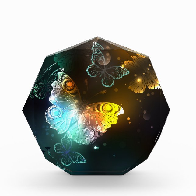 Luminous Butterfly and Night butterflies Photo Block (Front)