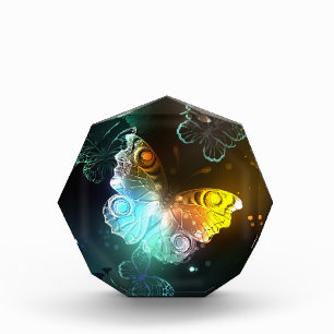 Luminous Butterfly and Night butterflies Photo Block