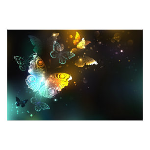Luminous Butterfly and Night butterflies Photo Print