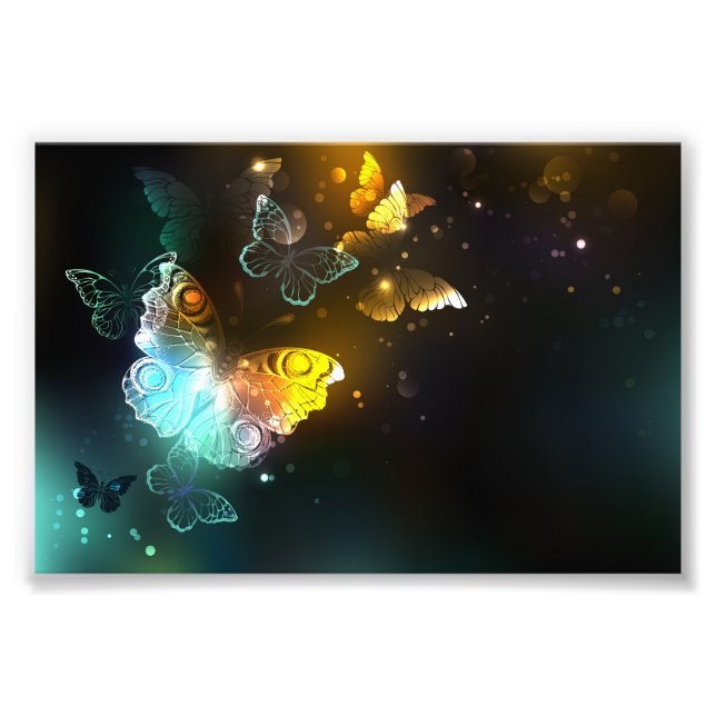 Luminous Butterfly and Night butterflies Photo Print (Front)