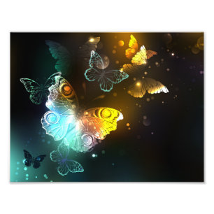 Luminous Butterfly and Night butterflies Photo Print