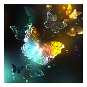 Luminous Butterfly and Night butterflies Photo Print