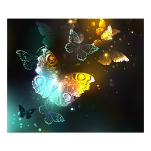 Luminous Butterfly and Night butterflies Photo Print
