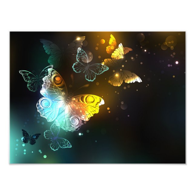 Luminous Butterfly and Night butterflies Photo Print (Front)