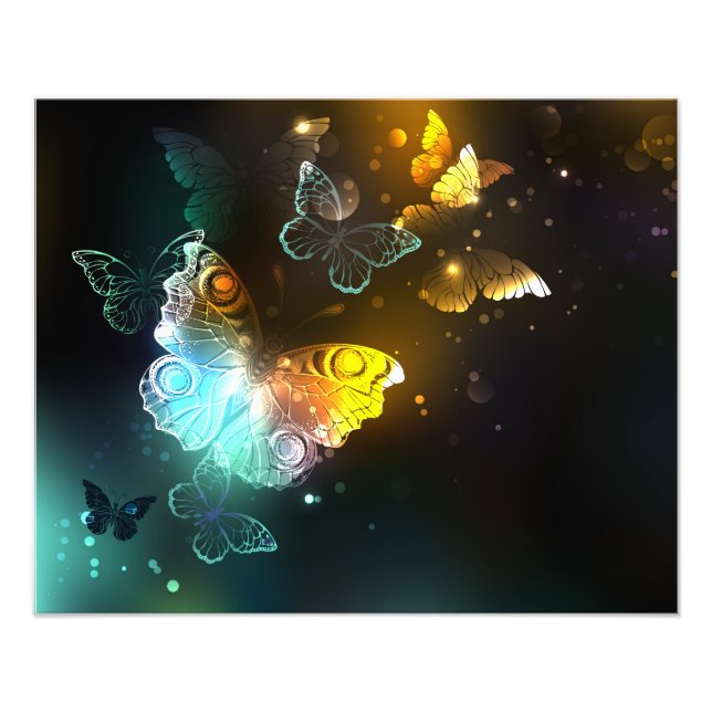 Luminous Butterfly and Night butterflies Photo Print (Front)