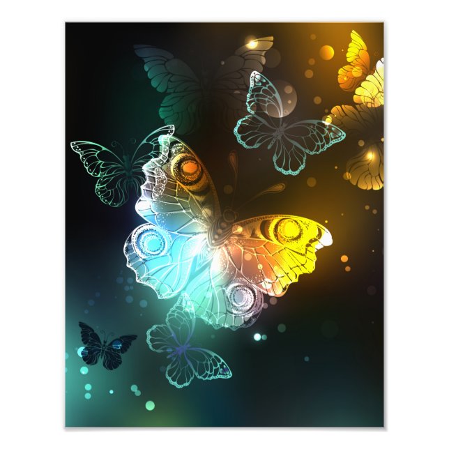 Luminous Butterfly and Night butterflies Photo Print (Front)