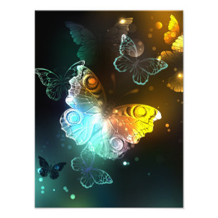 Luminous Butterfly and Night butterflies Photo Print